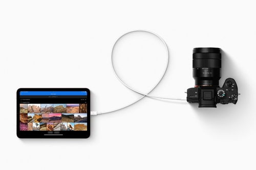 蘋果2021秋季新品發布 全新iPad與無線CarPlay引領科技新潮